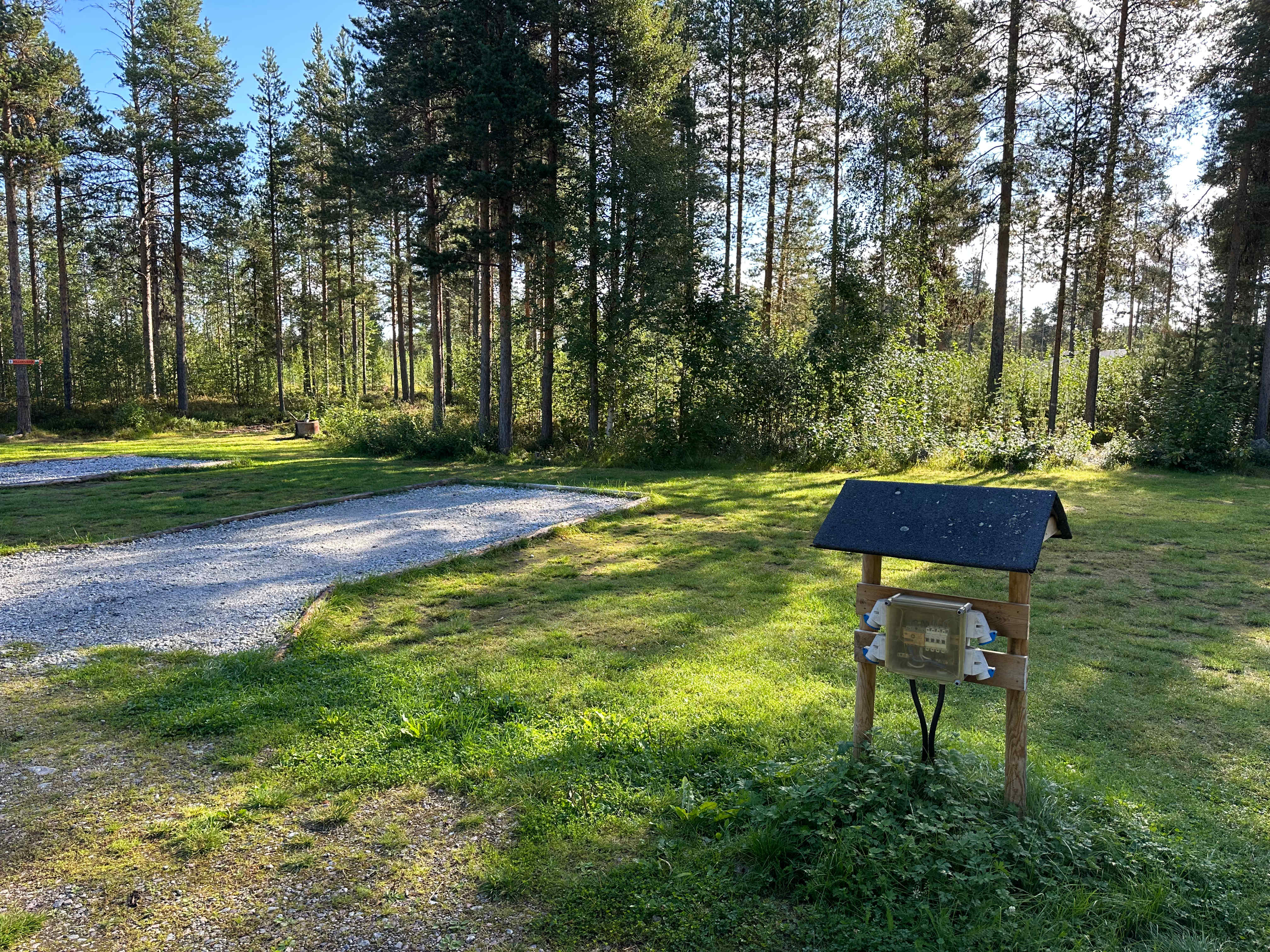 Image of a sunlit camping spot among trees