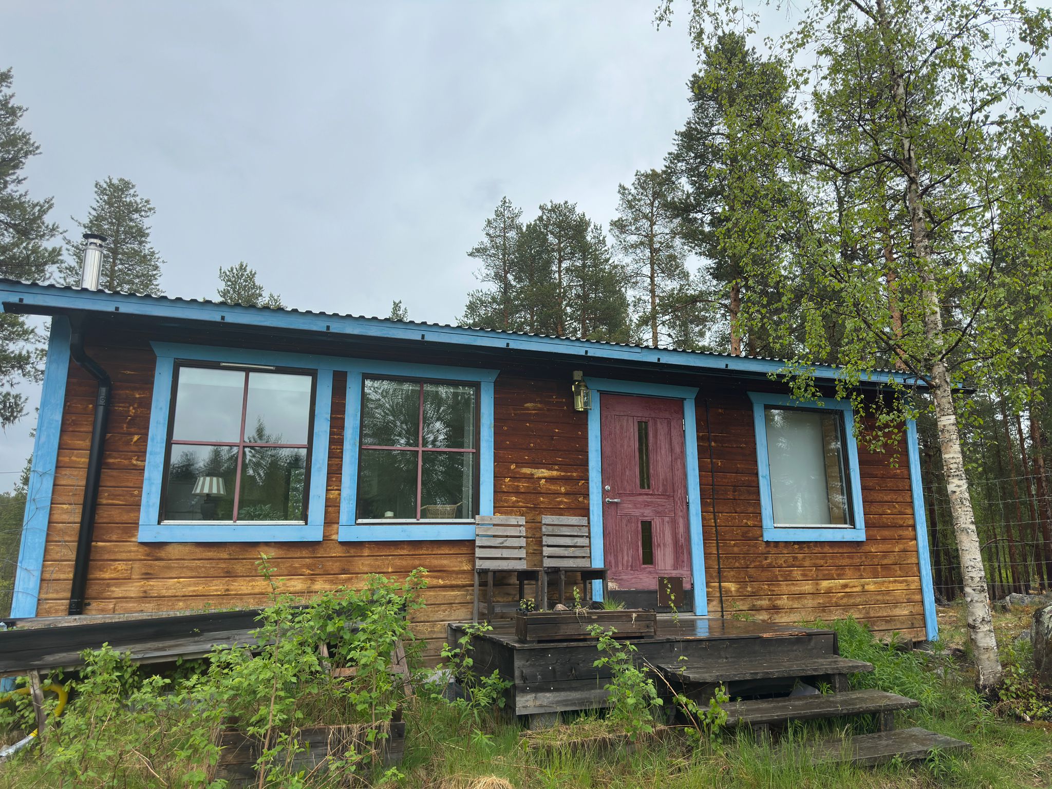 Reindeer Lodge, our cabin in our reindeer enclosure.